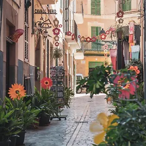 cas-cuscanti.allmallorcahotels.com/